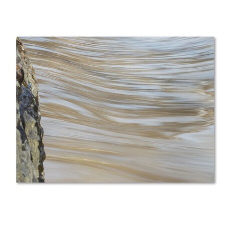 Trademark Fine Art